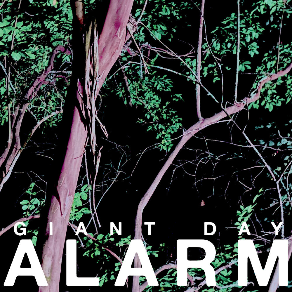 the album cover for Giant Day - Alarm