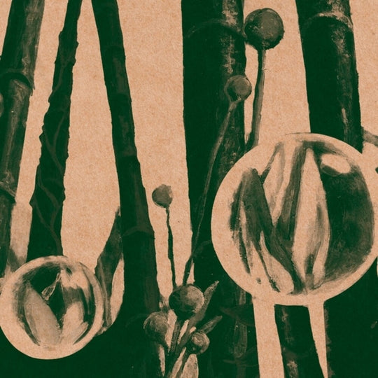 the album cover for Kettel - Through Friendly Waters (20th Anniversary Edition)