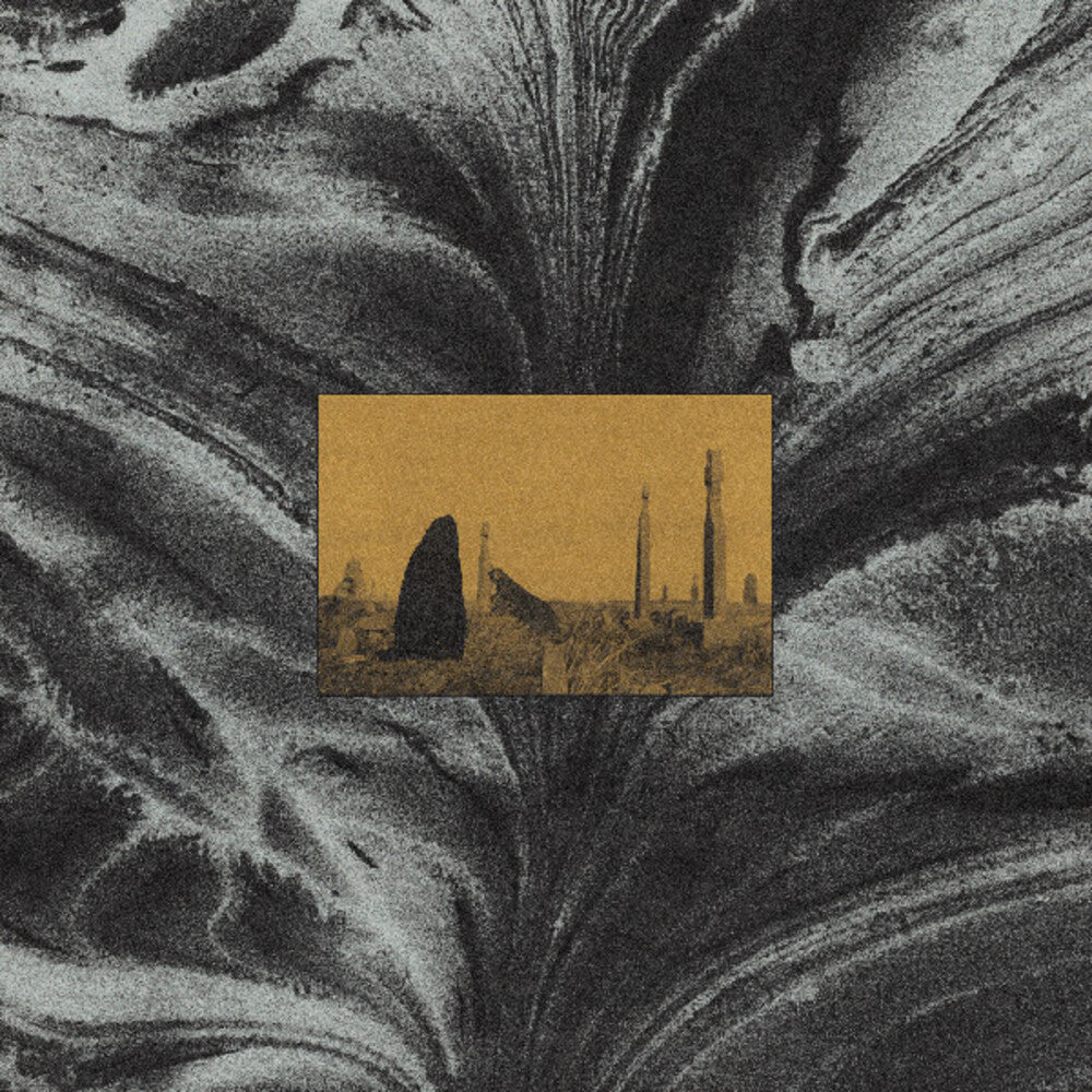 the album cover for Run - Run (Dicu)