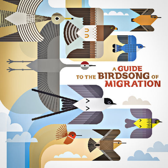 the album cover for Guide to the Birdsong of Migration / Various - A Guide to the Birdsong of Migration (Various Artists)