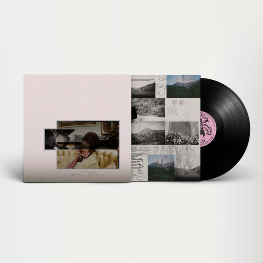 the album cover for Fionn Regan - O Avalanche