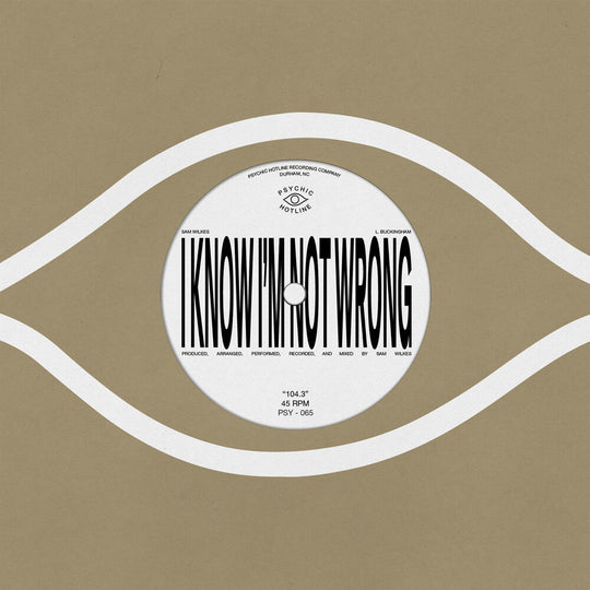 the album cover for Sam Wilkes - 104.3