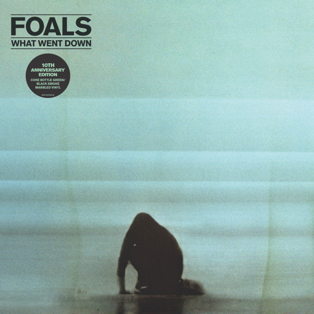 the album cover for Foals - What Went Down (Aniv)