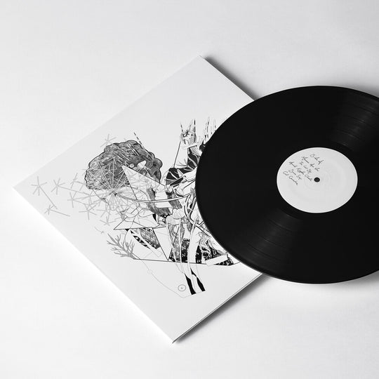 the album cover for Jesca Hoop - Selective Memory