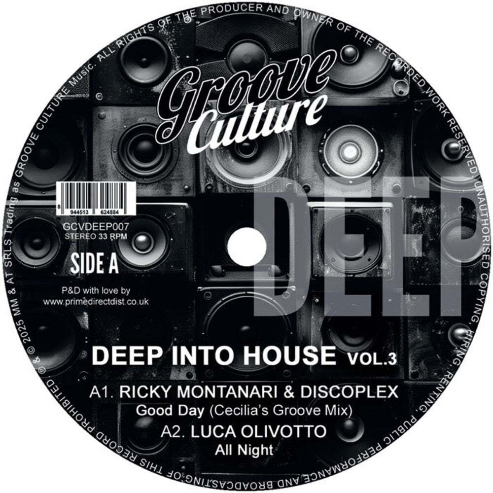 the album cover for Deep Into House Vol. 3 / Various - Deep Into House Vol. 3 / Various