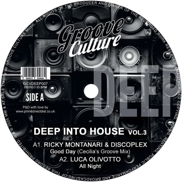 the album cover for Deep Into House Vol. 3 / Various - Deep Into House Vol. 3 / Various