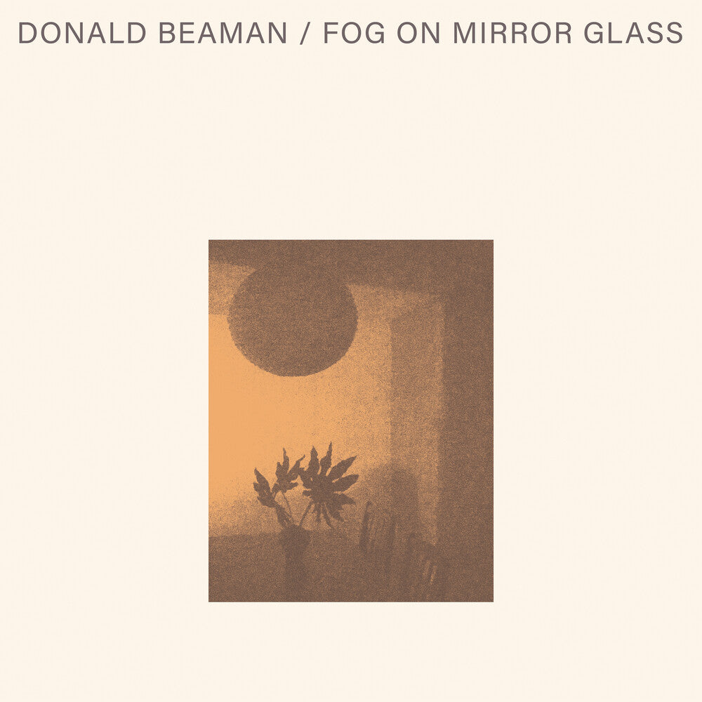 the album cover for Donald Beaman - Fog On Mirror Glass