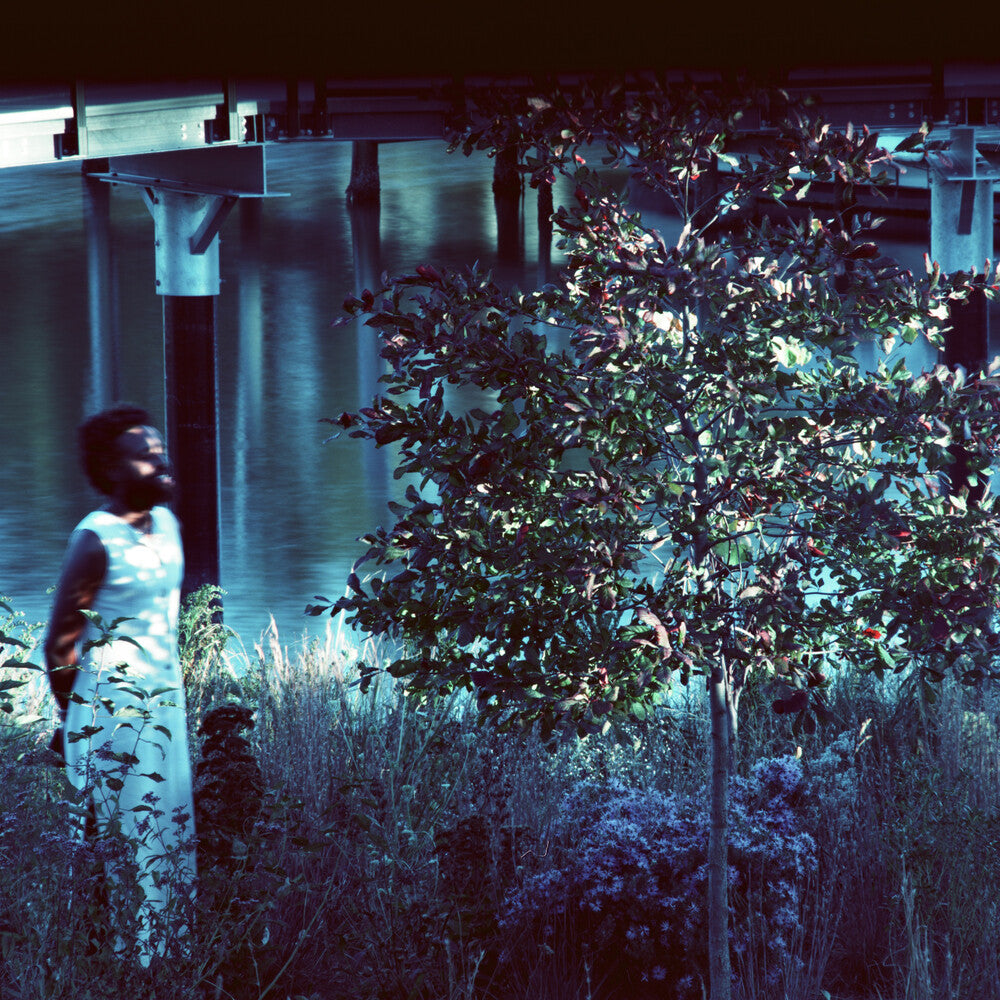 the album cover for Jjjjjerome Ellis - Vesper Sparrow