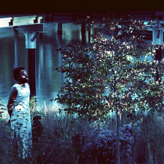 the album cover for Jjjjjerome Ellis - Vesper Sparrow