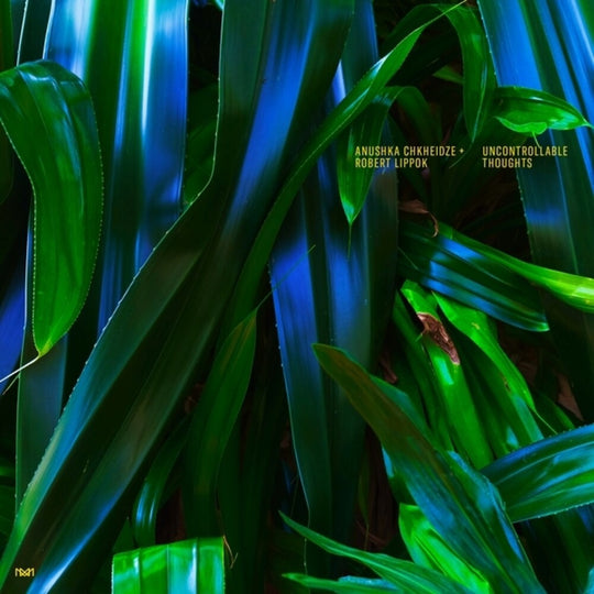 the album cover for Anushka Chkheidze  / Lippok,Robert - Uncontrollable Thoughts