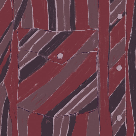 the album cover for Jake Xerxes Fussell - Rebuilding