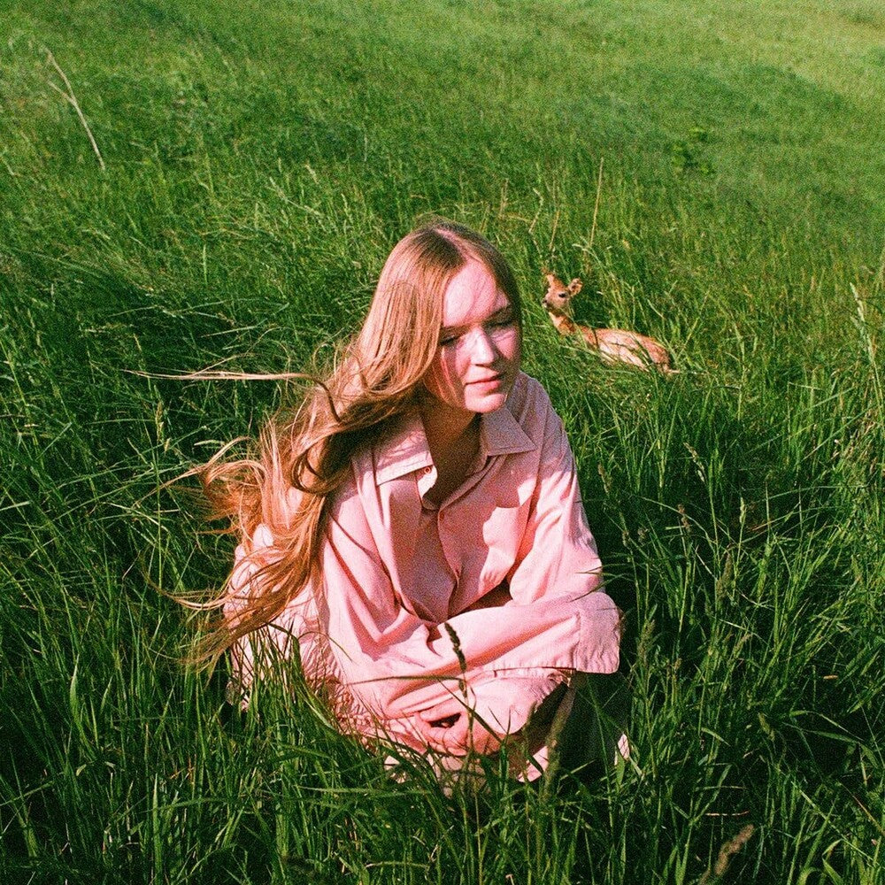 the album cover for Babygirl - Stay Here Where It's Warm (Can)