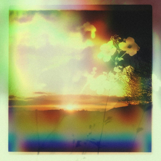 the album cover for Tim Reaper - Sage (Ep)