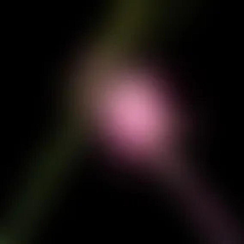 the album cover for Wicked: For Good O.S.T. - Wicked For Good: The Soundtrack (Original Soundtrack) [RSD Black Friday 2025]