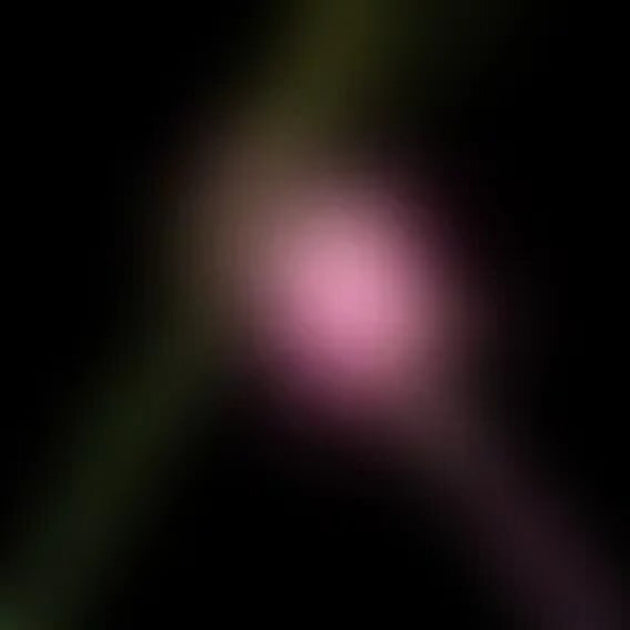 the album cover for Wicked: For Good O.S.T. - Wicked For Good: The Soundtrack (Original Soundtrack) [RSD Black Friday 2025]