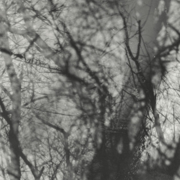 the album cover for Grouper - Way Their Crept [Reissue]