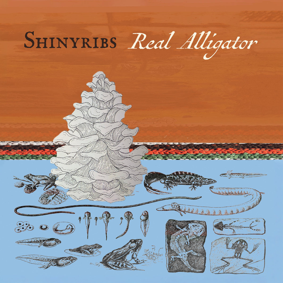 Shinyribs / Real Alligator