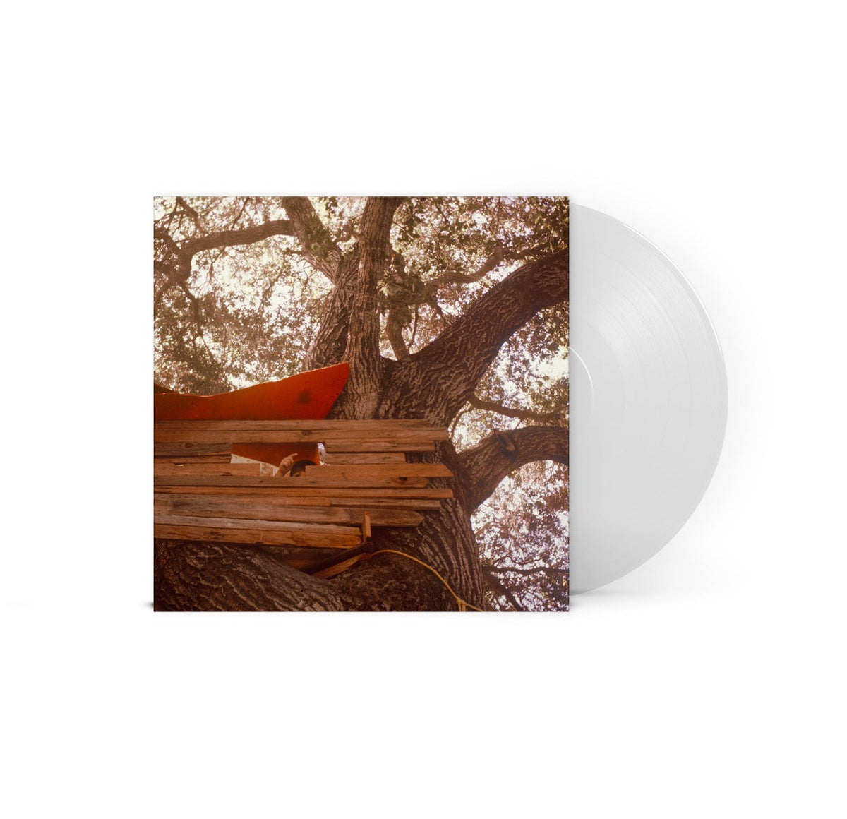 The Backseat Lovers / Waiting To Spill (Indie Exclusive, Clear Vinyl)