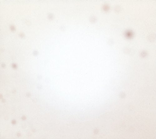 Yo La Tengo / There's A Riot Going On